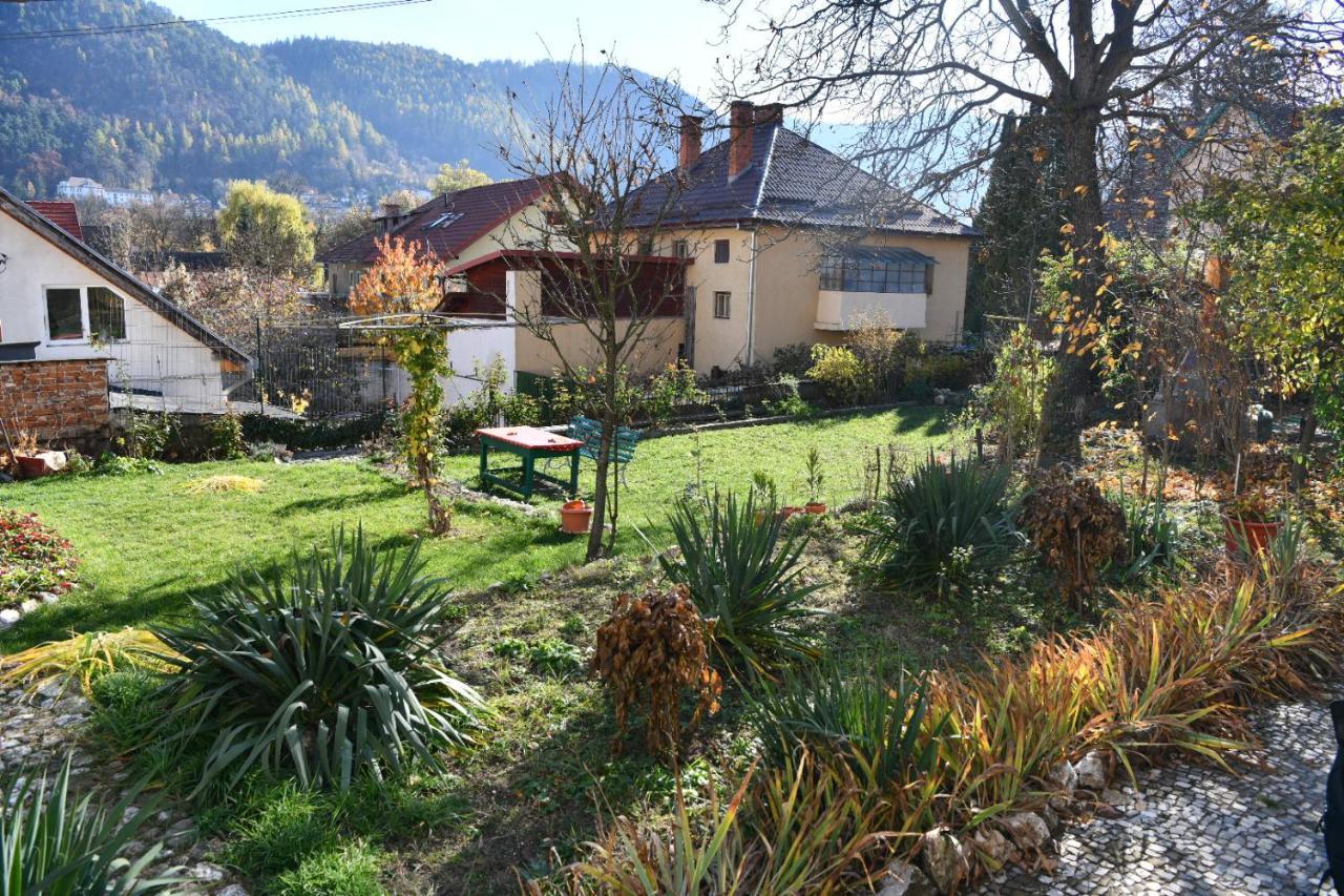 Magic House Brasov Apartment Bagian luar foto